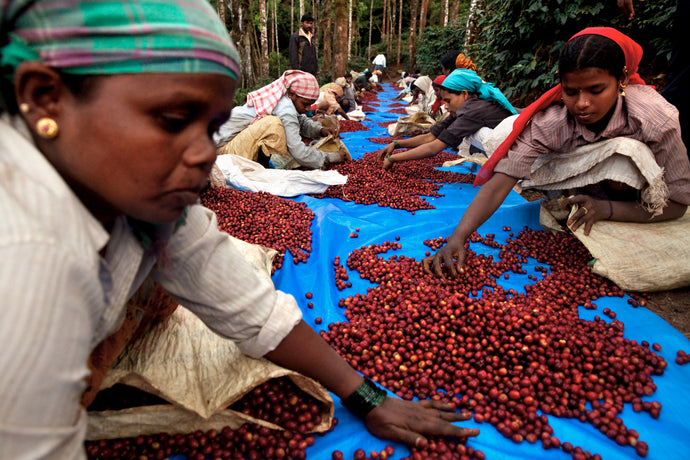 Fair Trade Made Simple: Pt. 2