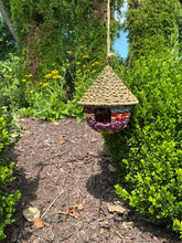 Colorful Bird Bungalow