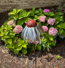 Echinacea Flower Garden Stake