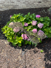 Dragonfly Garden Stake (2 styles)