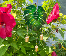 Monstera Chime