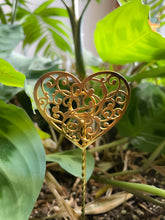 Mini Heart Plant Stake