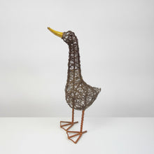 Spying Duck